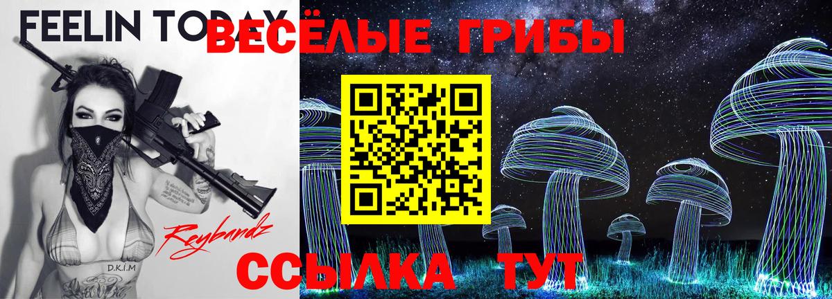 Галлюциногенные грибы Magic Shrooms  Вход с VPN  Галлюциногенные грибы Psilocybine cubensis  Арзамас 