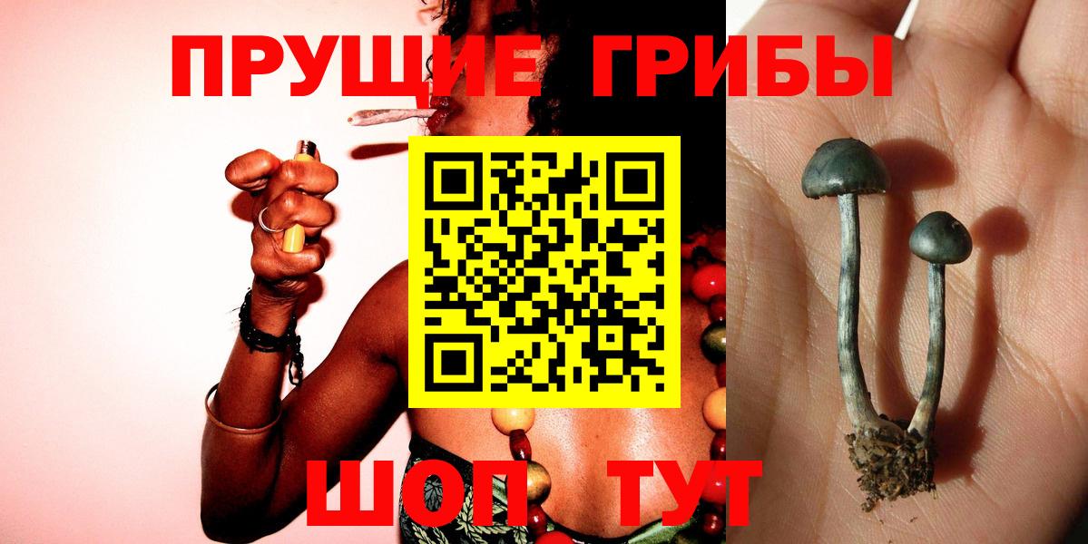 Галлюциногенные грибы MAGIC MUSHROOMS Арзамас